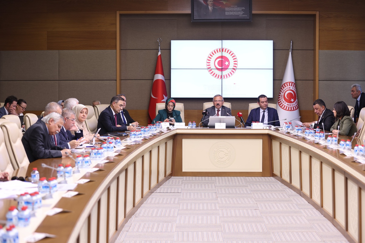TBMM Komisyonu\'ndan silah sınırlaması ve dijital risk uyarısı