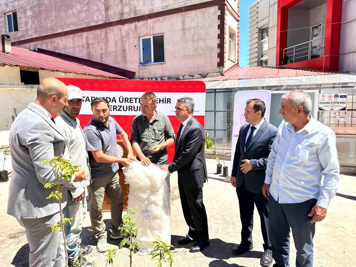 Pazaryolu'nda Üreticilere Fidan ve Naylon Desteği