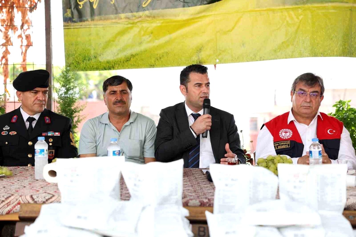 Akdeniz\'de meyve sineğiyle mücadeleye ilaç desteği