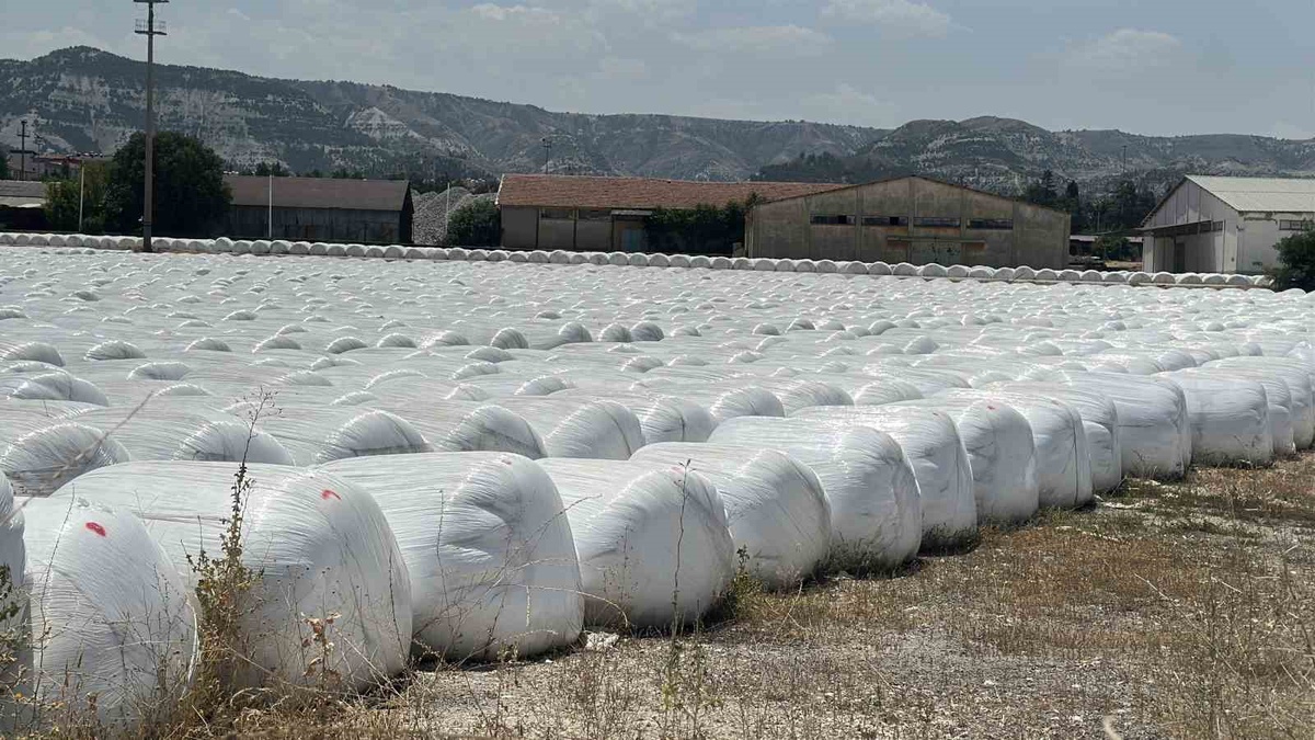 Burdur şeker fabrikası’na ’kötü koku’ cezası