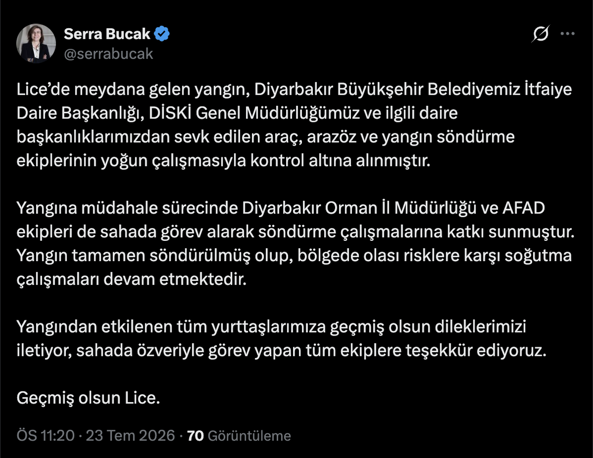Lice\'deki Yangın Kontrol Altında