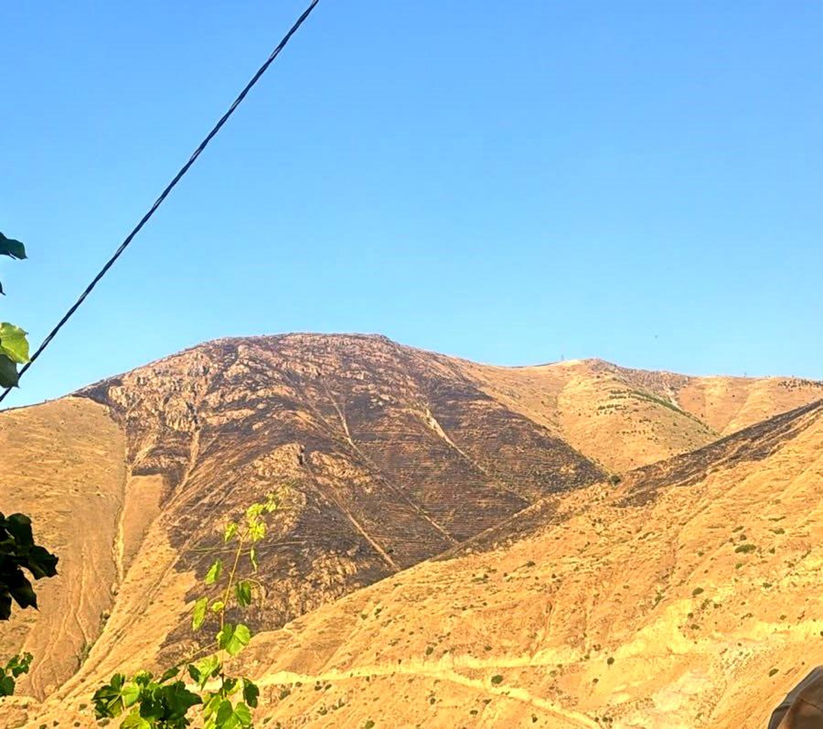 Elazığ\'da Yangın Kontrol Altına Alındı