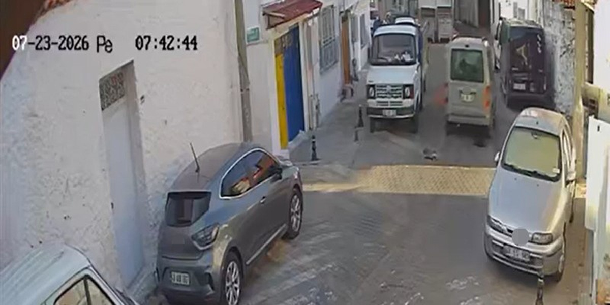 Muğla\'da Araç, İki Sokak Kedisini Ezdi