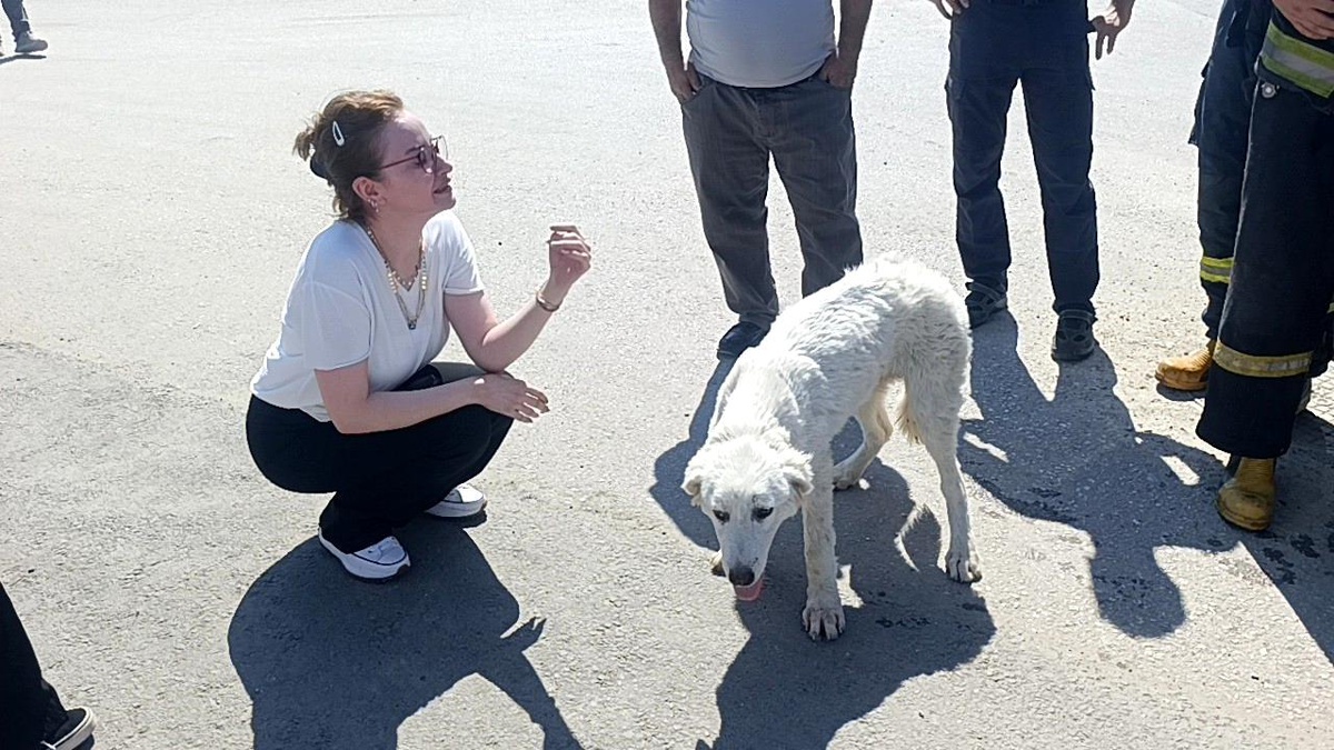Mahsur kalan köpeğin sesini sadece o duydu, kurtarıldığında gözyaşlarına boğuldu
