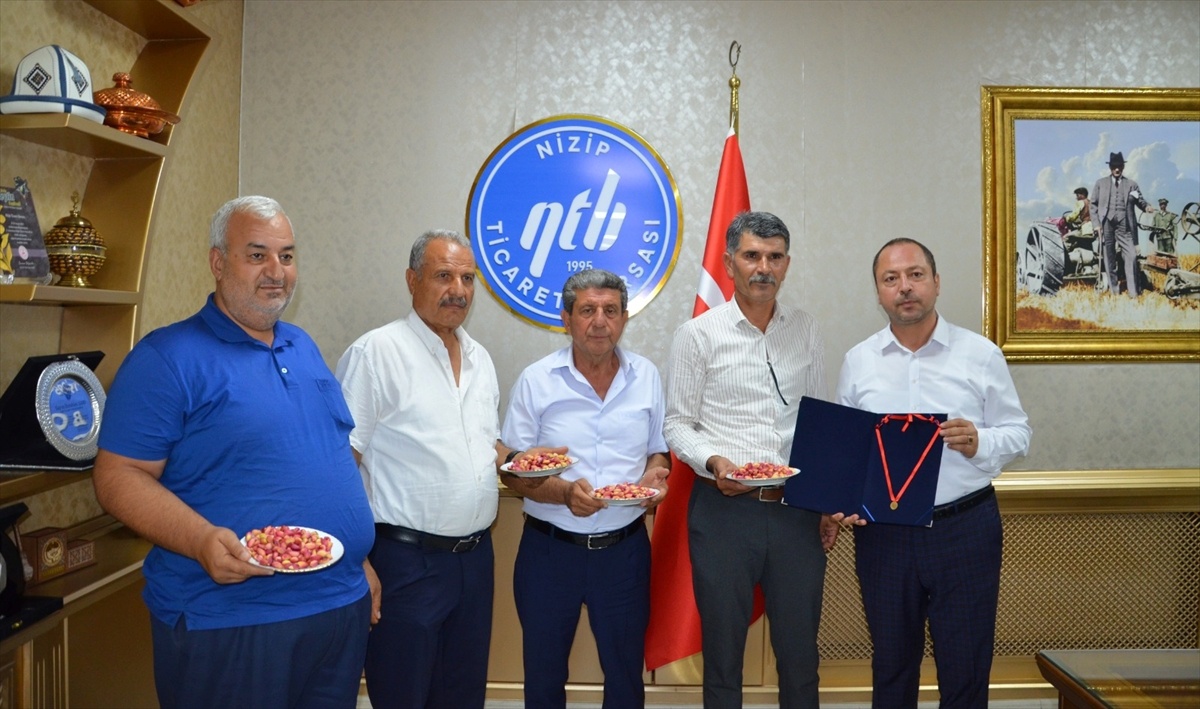 İlk Mahsul Antep Fıstığına Altın Ödül