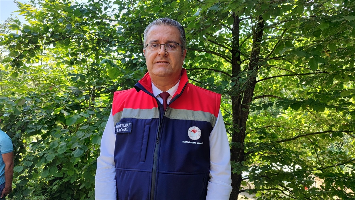 Kestane Balı Festivali Başladı