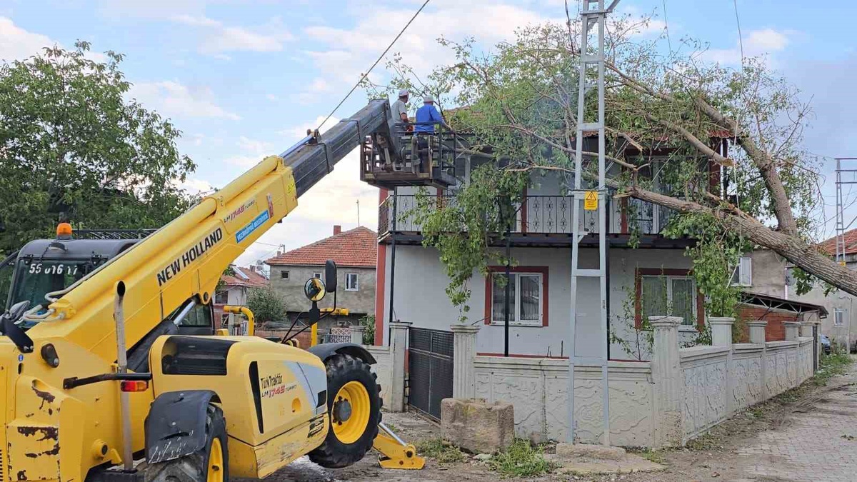 Samsun\'da Şiddetli Yağmur ve Dolu Tarımda Hasara Yol Açtı