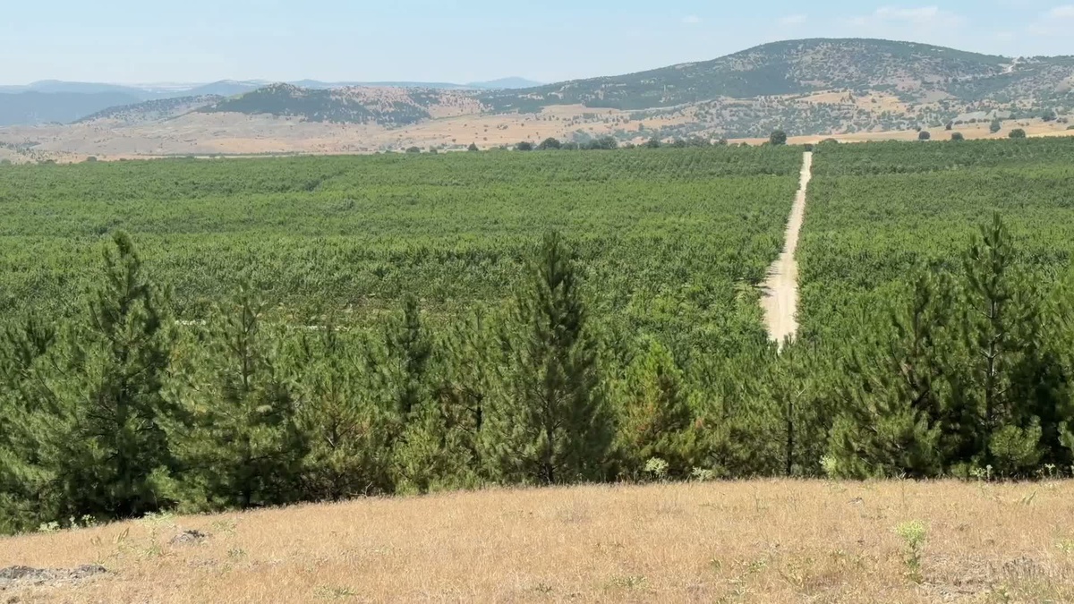 Yozgat’ta kurulu meyve bahçesi göçü tersine çevirdi