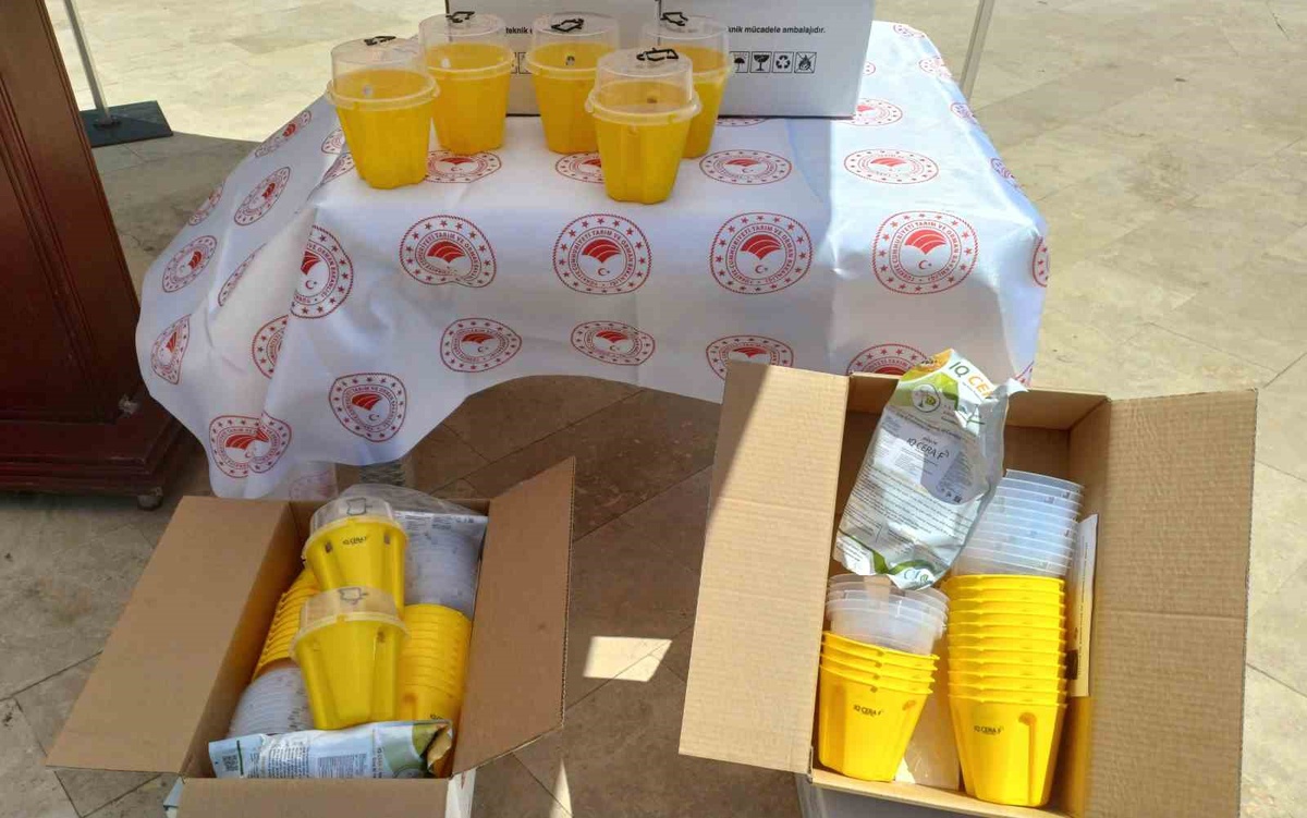 Aydın\'da Biyoteknik Mücadele İçin Tuzaklar Dağıtıldı