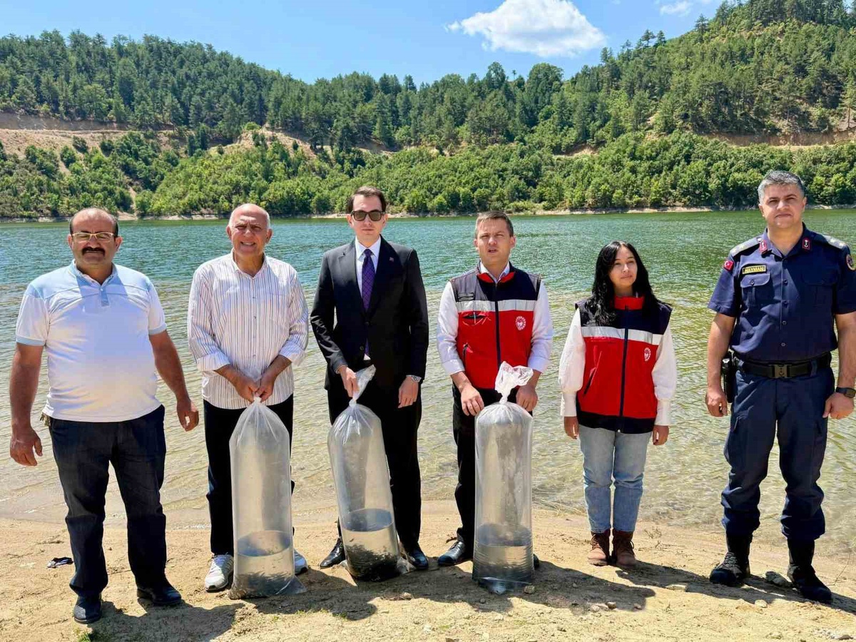 Hisarcık Hasanlar Barajı’na 80 bin sazan yavrusu bırakıldı