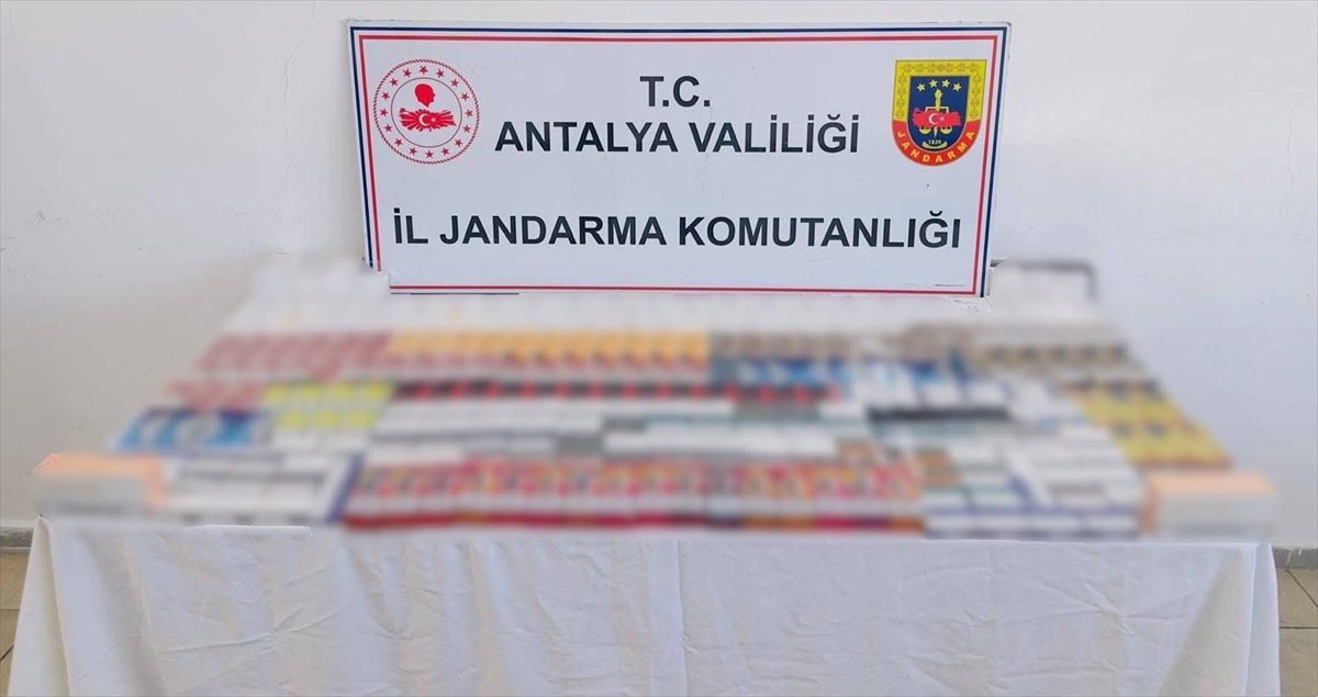 Kemer\'de Kaçak Tütün Operasyonu