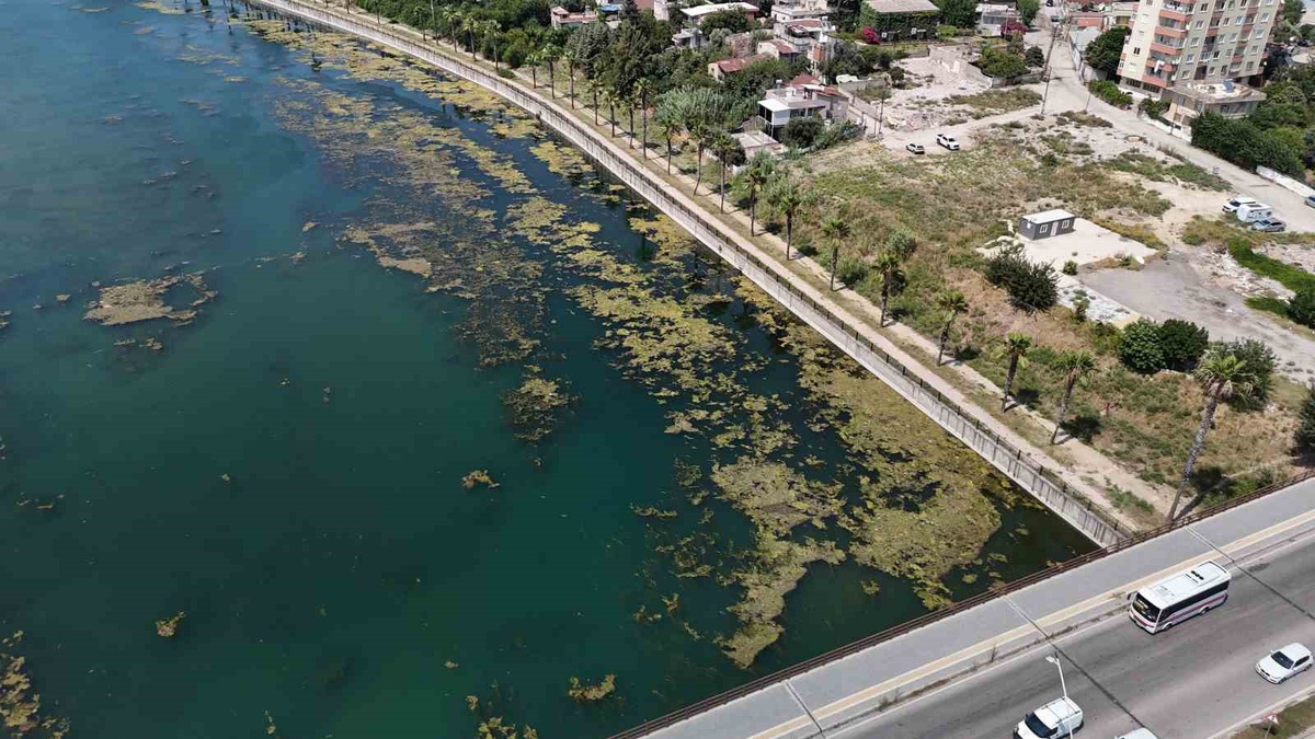 Seyhan nehri kirliliğe teslim oldu, gönüllü genç sandalla temizliğe çıktı