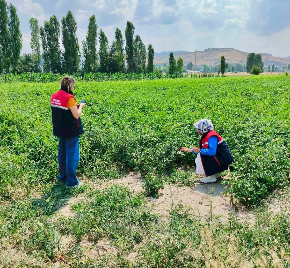 Tarım Arazileri Koruma Çalışmaları Devam Ediyor
