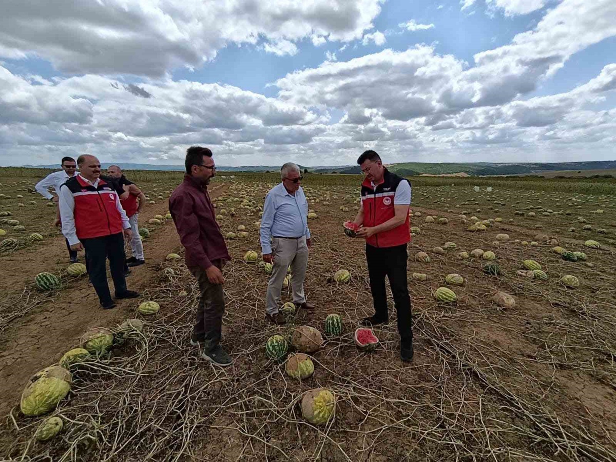Tekirdağ\'da Dolu Hasar Tespiti