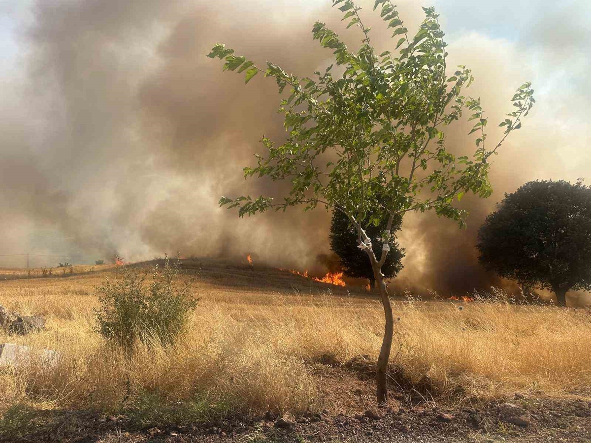 Gölbaşı\'nda Trafo Patladı, Orman Yangını Çıktı