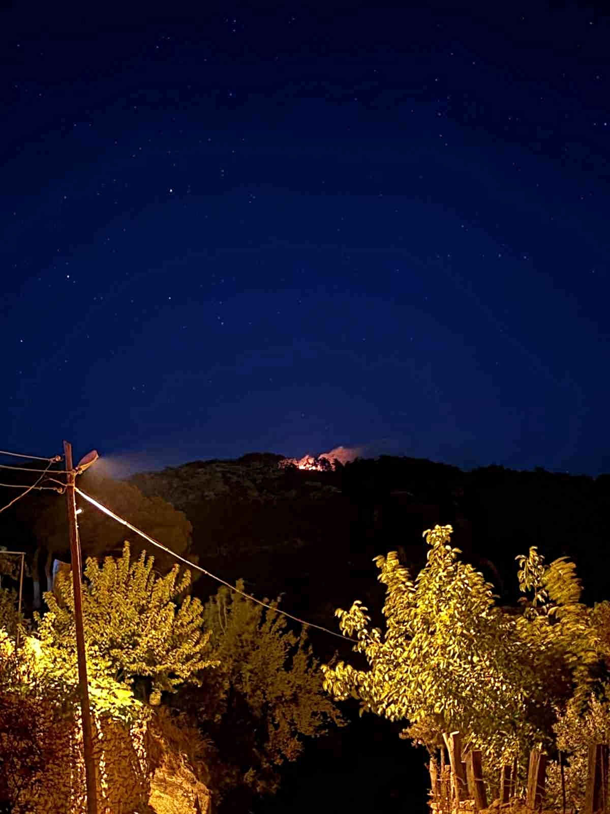 Muğla\'da Orman Yangını