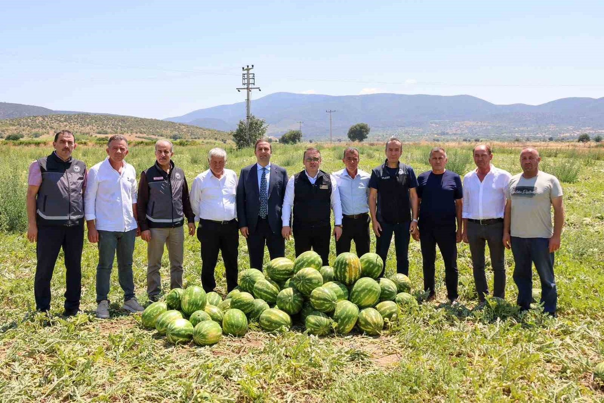 Bilecik\'te 62 Bin Ton Karpuz Hasadı Bekleniyor
