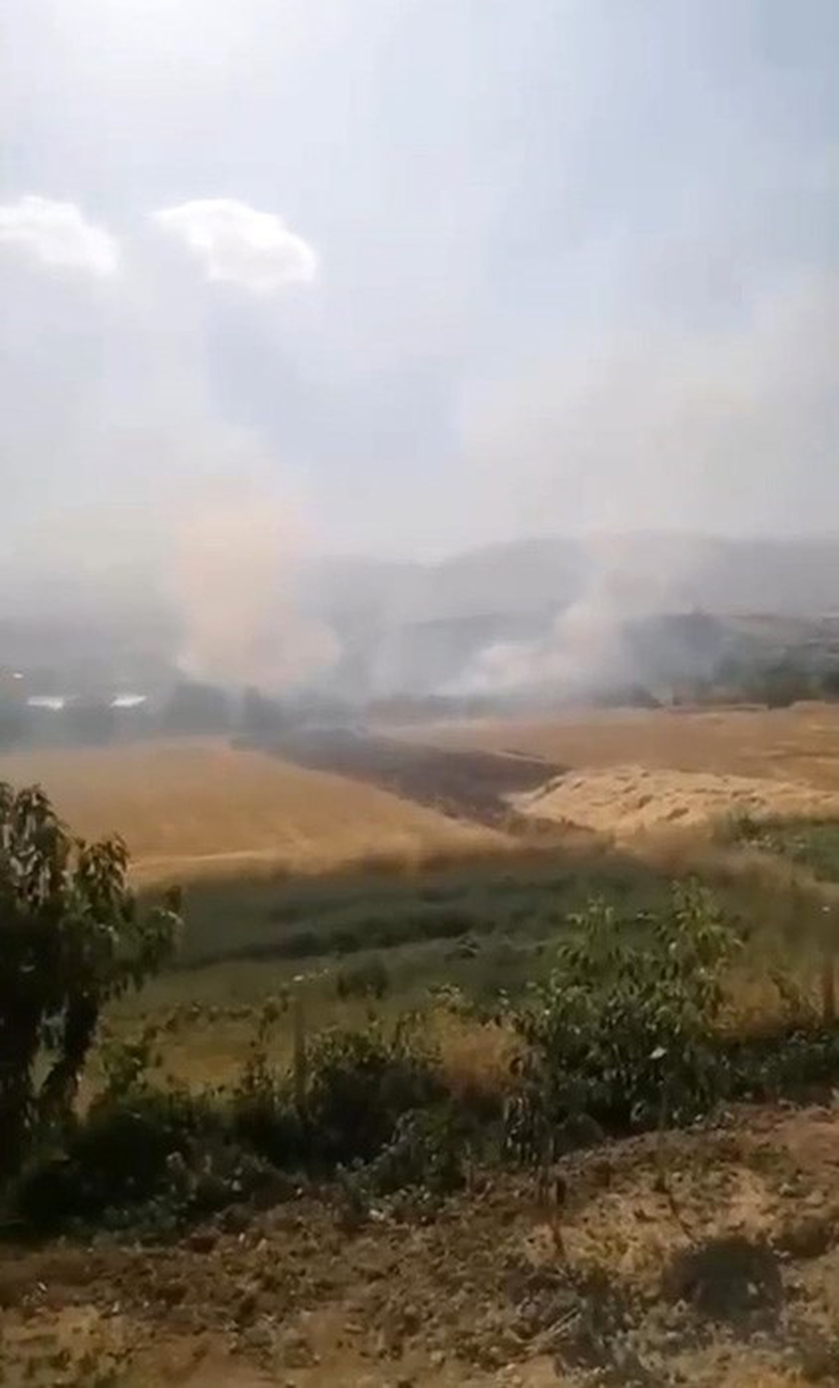 Elazığ\'da Otluk Alanda Yangın