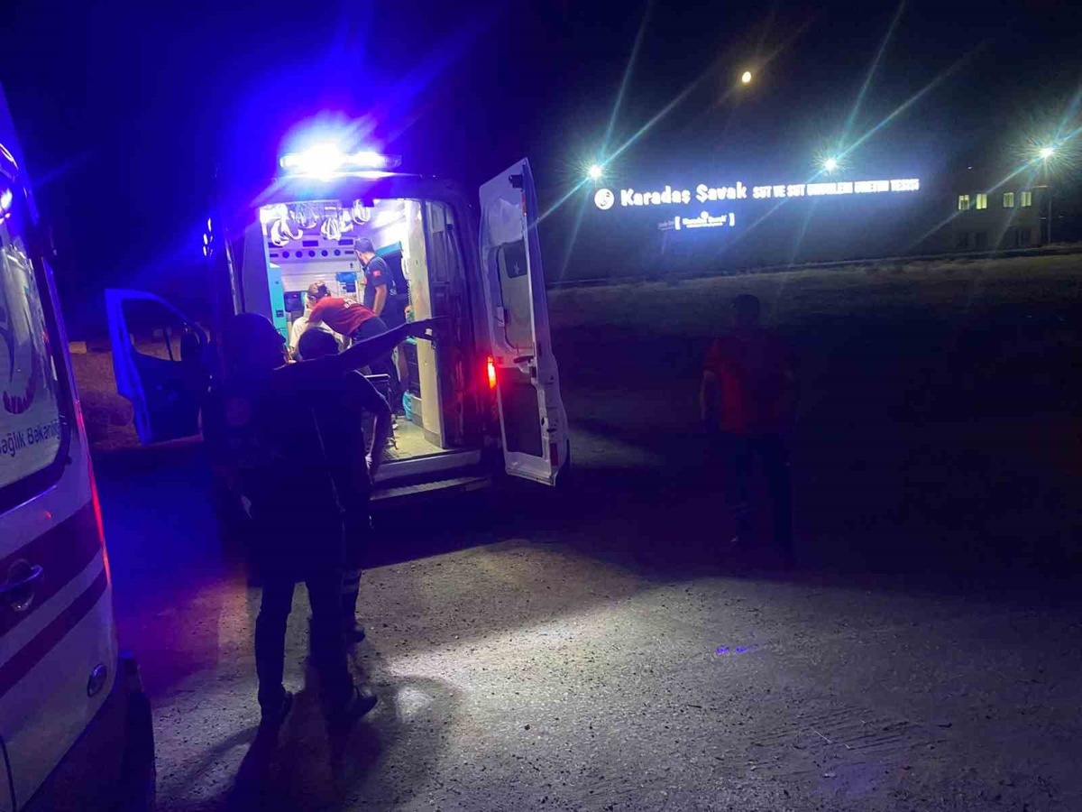 Erzincan\'da Tır-Otomobil Çarpışması: 4 Yaralı
