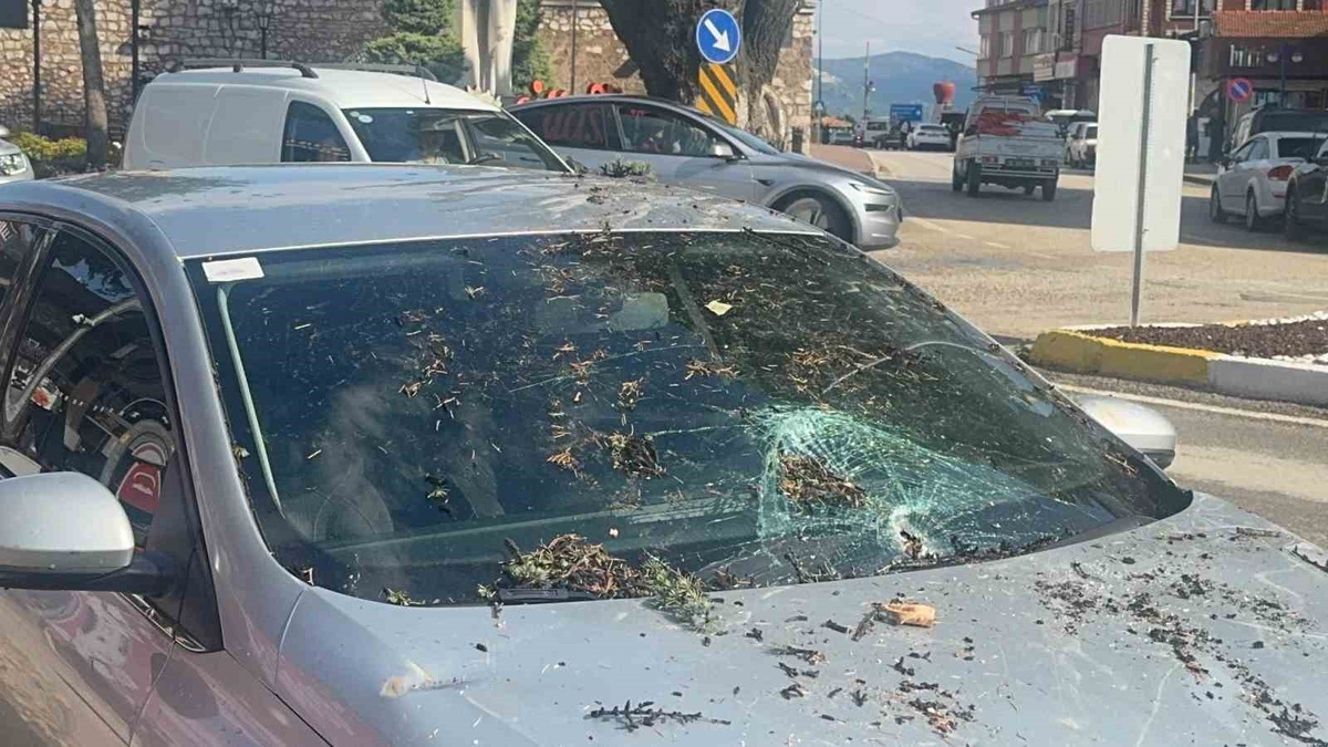 Fırtınada kökünden sökülen ağaç otomobilin üzerine devrildi
