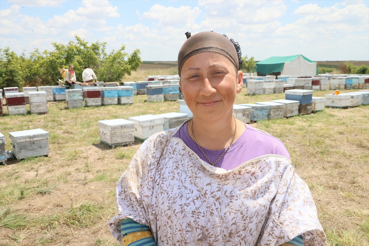 Gezgin Arıcılar Edirne\'de Mesai Yapıyor