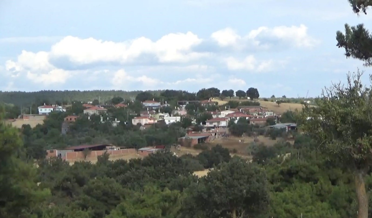 Bayramiç\'te Domates Yetiştiriciliği
