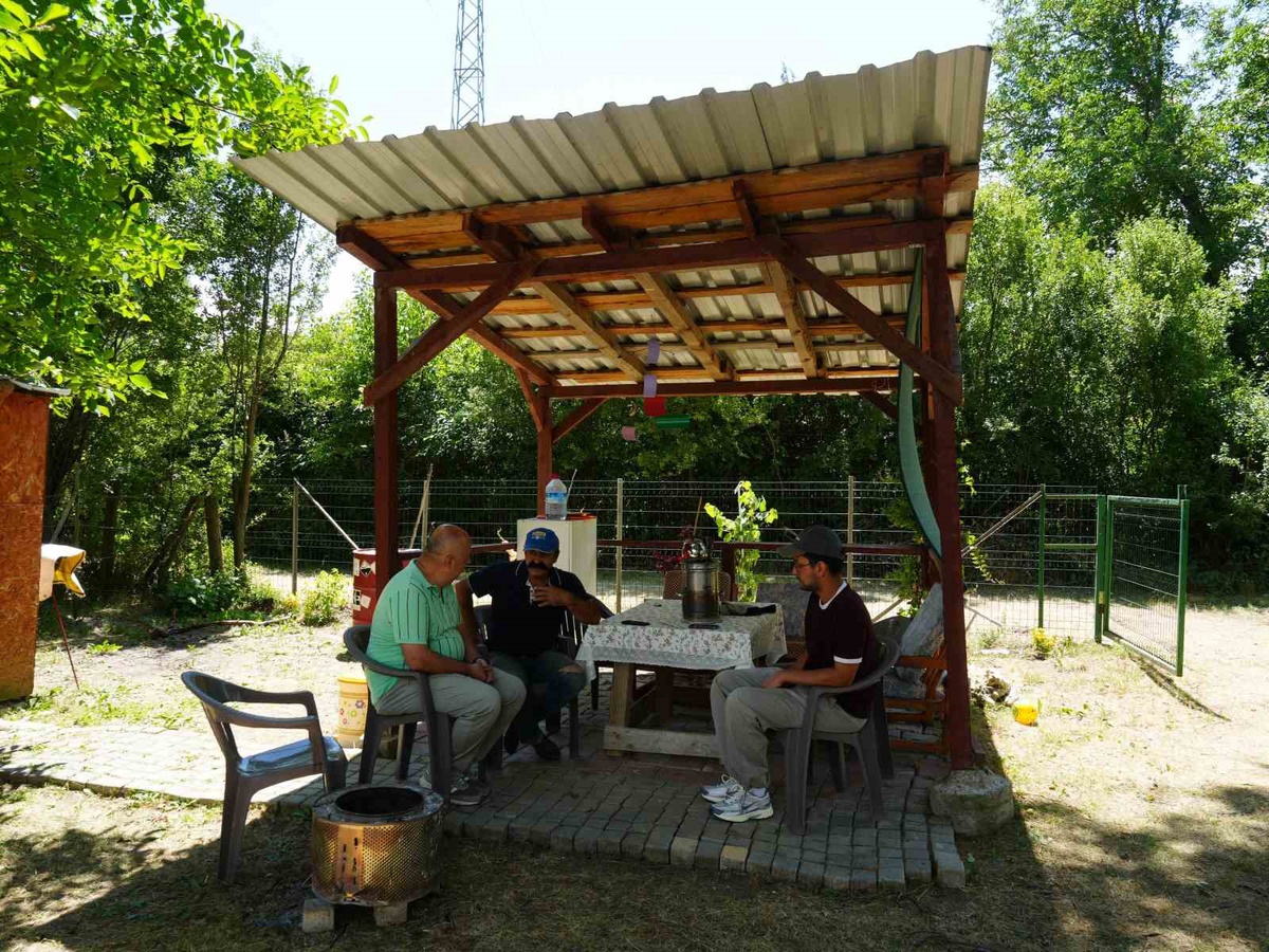 Kastamonu\'da Ayı Paniği