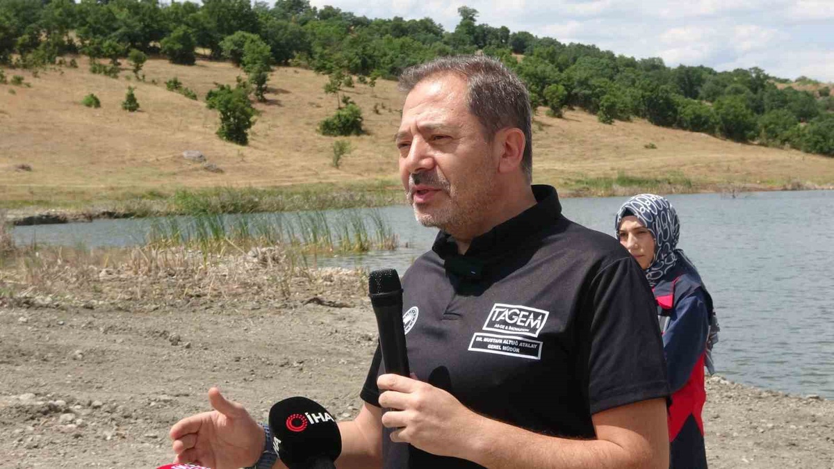 Tavşanlı\'da 123 Bin Yavru Sazan Salındı