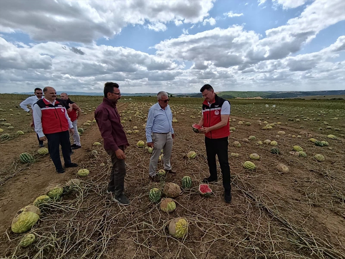 Tekirdağ\'da Dolu Zararında Hasar Tespiti