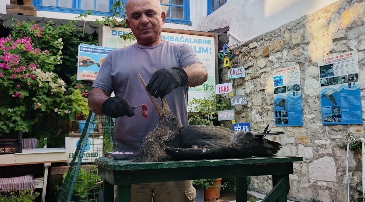 Yaralı Karaleylek Sahibiyle Buluştu