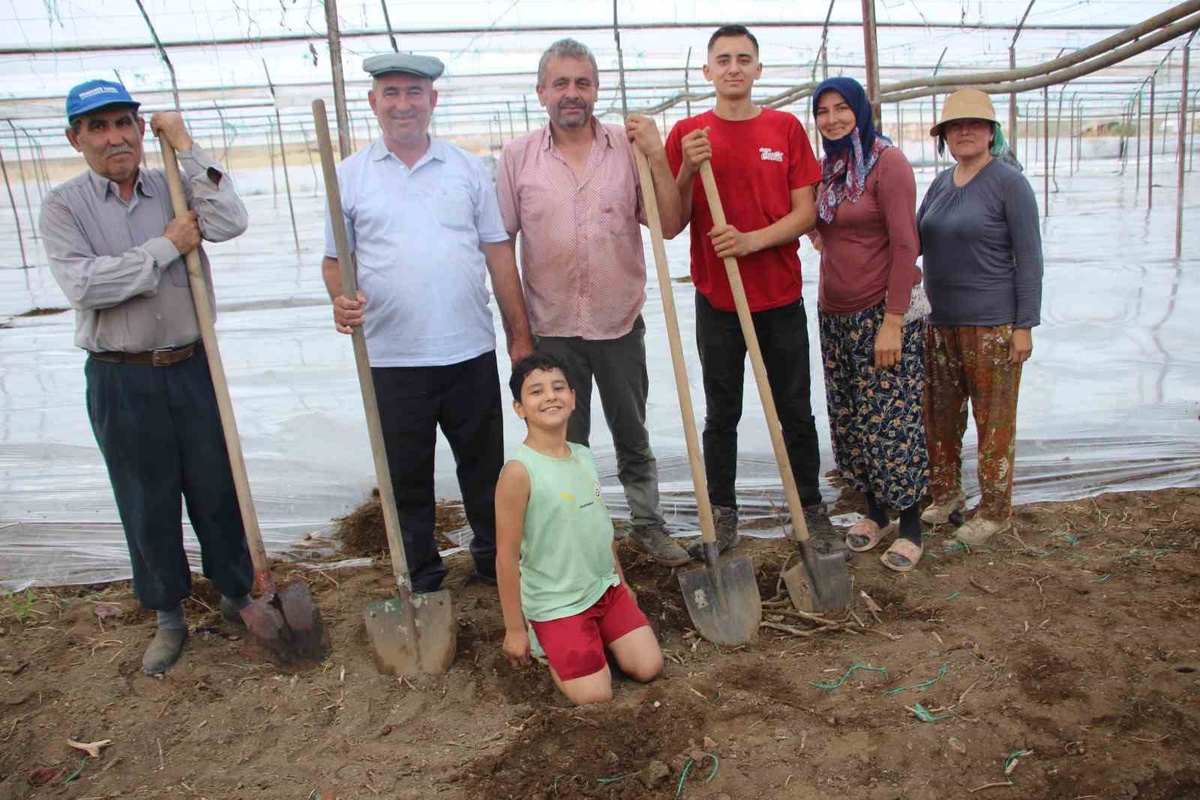 Kumluca\'da Solarizasyon Başladı