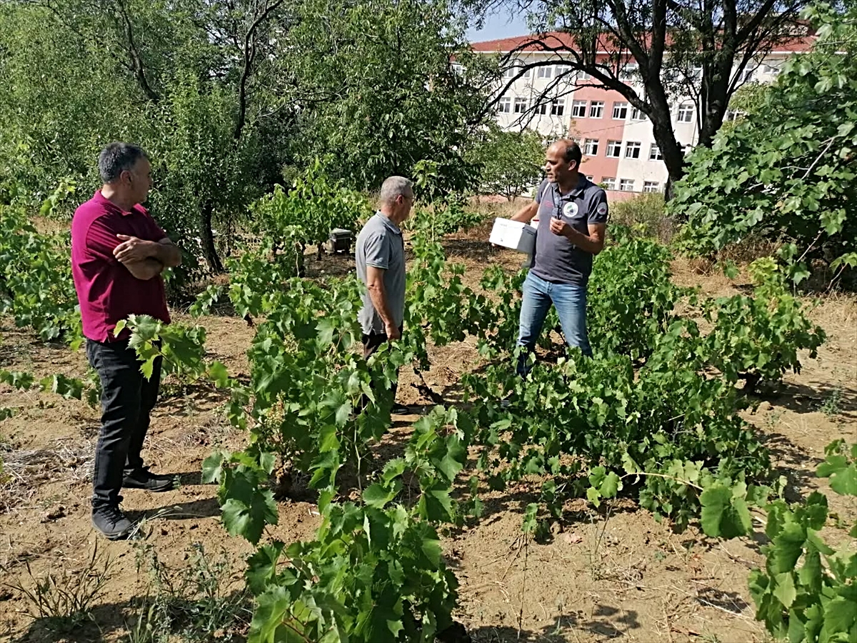 Tekirdağ\'da Çeşitli Çalışmalar Devam Ediyor
