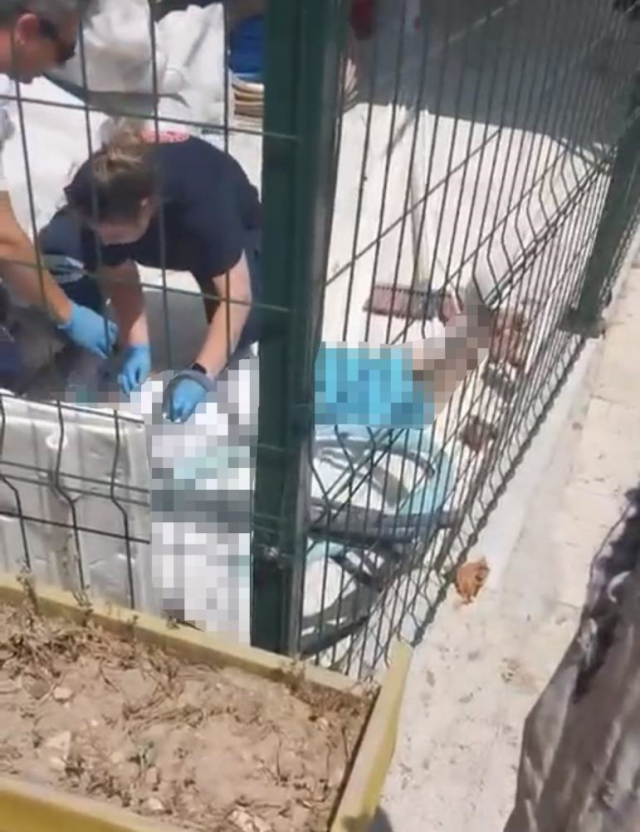Yarı çıplak halde sokağa çıktı, ikna edildikten sonra canına kıydı