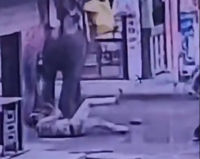 Elinden şeker yemişti! Fil Kendisine tatlı veren işçiyi ezerek öldürdü