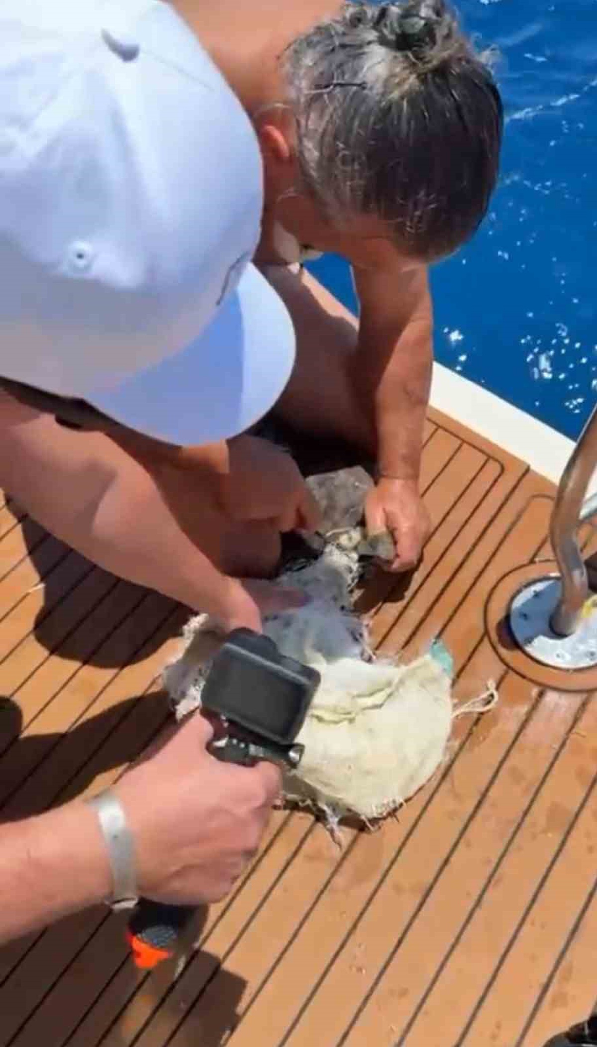 Caretta Caretta, Kaptanın Dikkatiyle Kurtarıldı