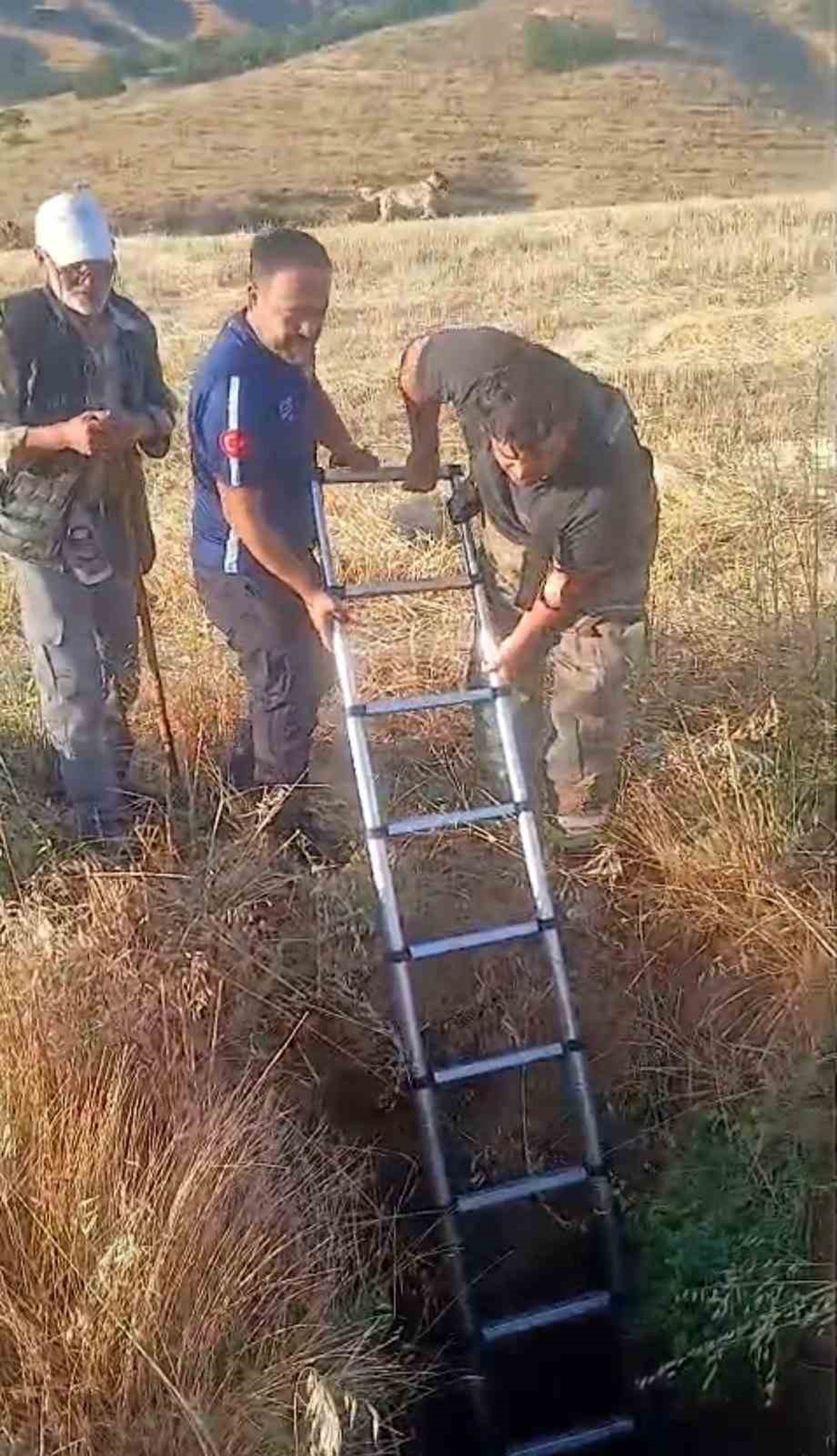 Akyurt\'ta Define Kazısında Koyun ve Kaplumbağa Kurtarıldı