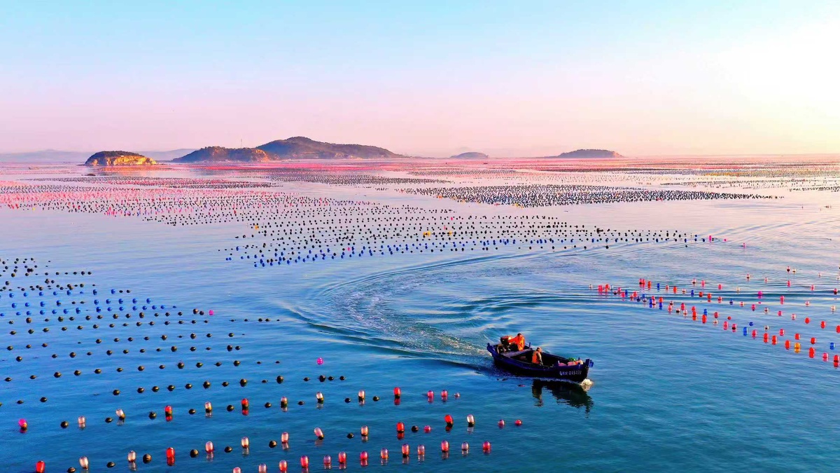Changdao\'da Deniz Çayırları Yeniden Canlanıyor