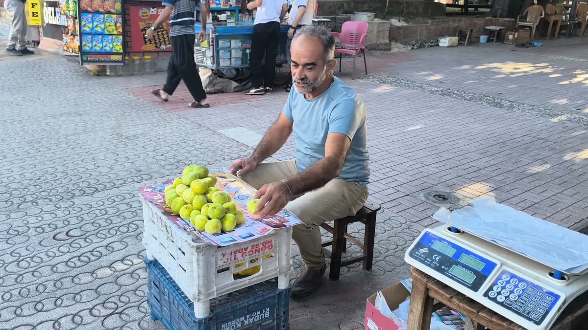 Osmaniye\'de İncir Fiyatları Tepki Çekti