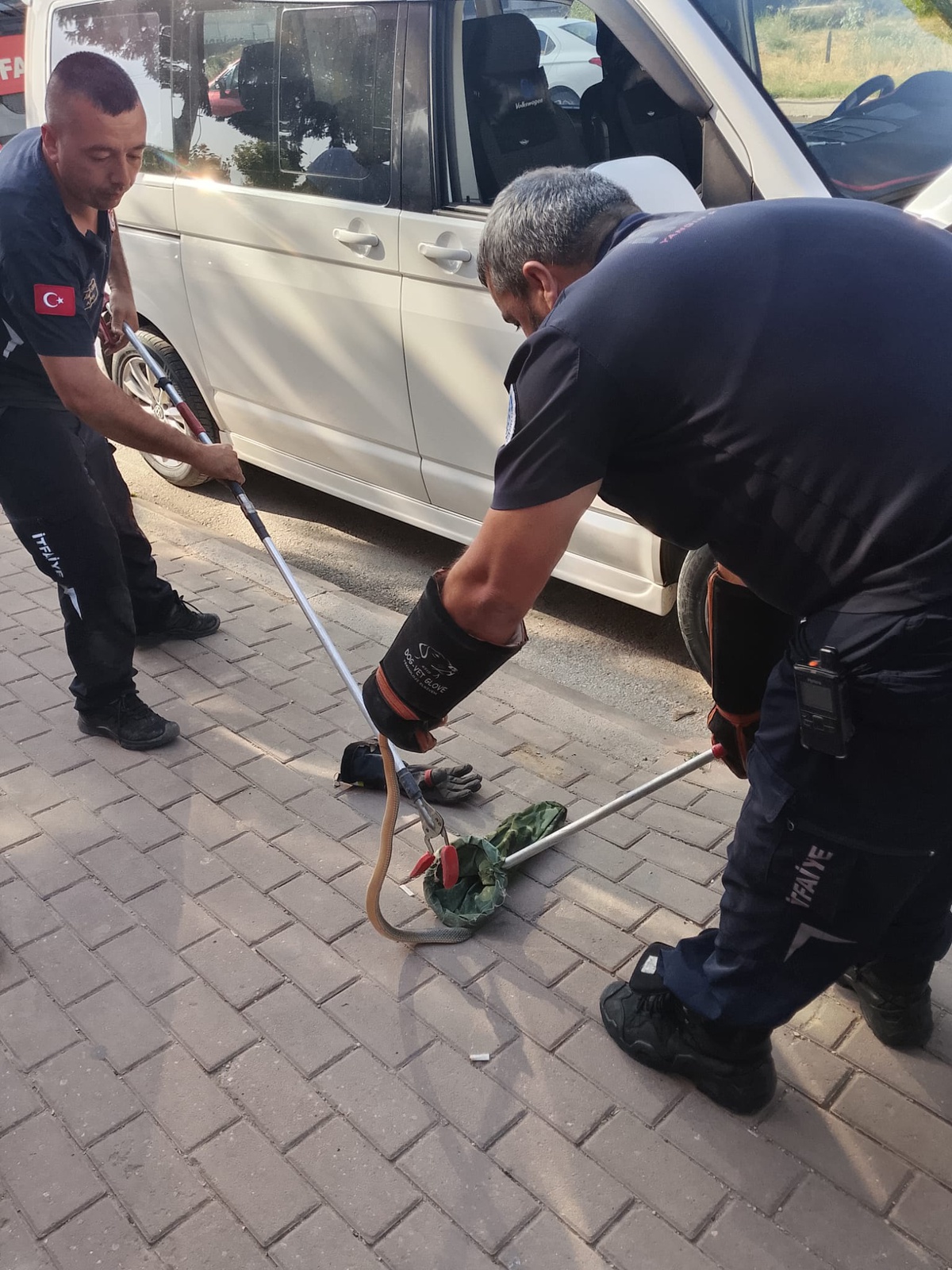 İnegöl\'de Minibüste Yılan Alarmı