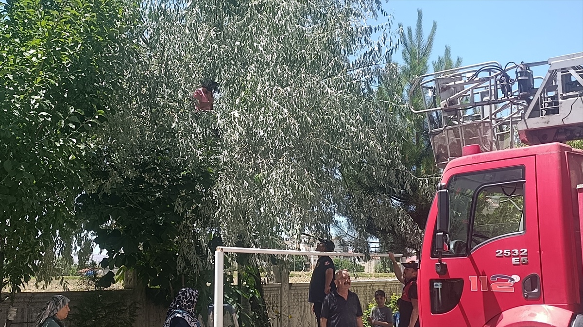 Ağaçta Mahsur Kalan Kız Kurtarıldı