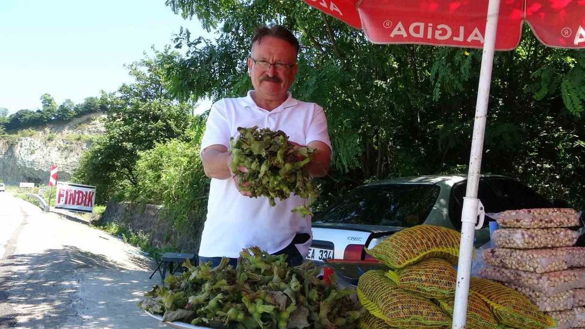 Giresun\'da Fındık Satışı Başladı
