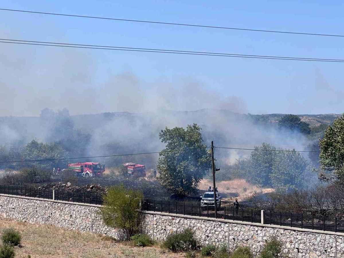 Ayvacık\'ta Otluk Alanda Yangın