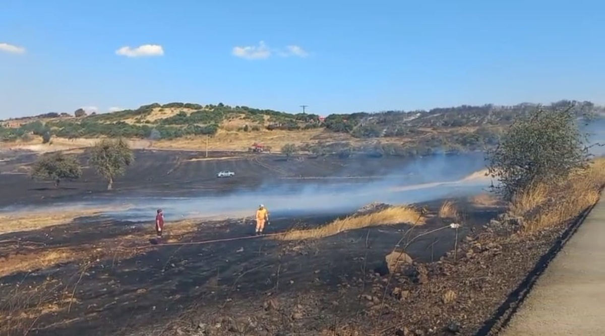 Balıkesir\'de Arazi Yangını Kontrol Altına Alındı