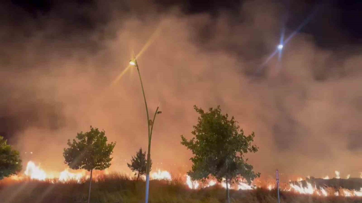 Diyarbakır\'da Otluk Alanda Yangın