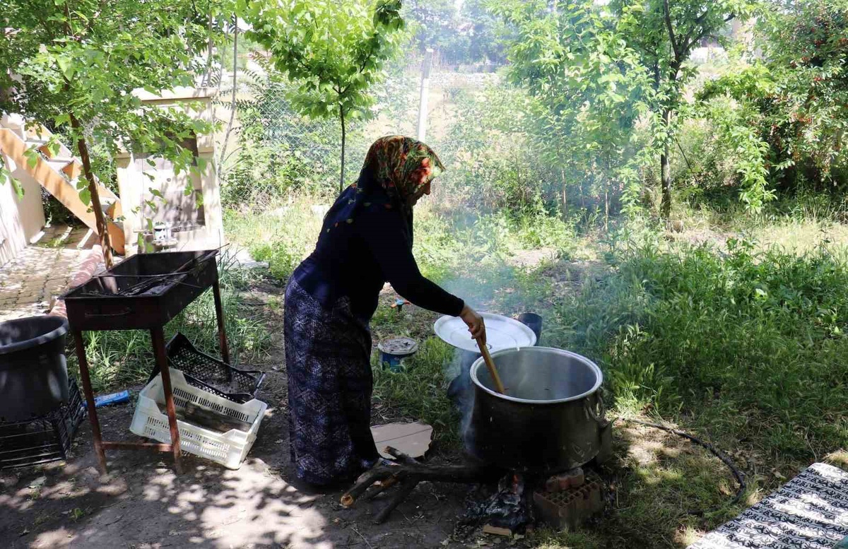 Kemaliye\'de Geleneksel Dut Pekmezi Üretimi Başladı