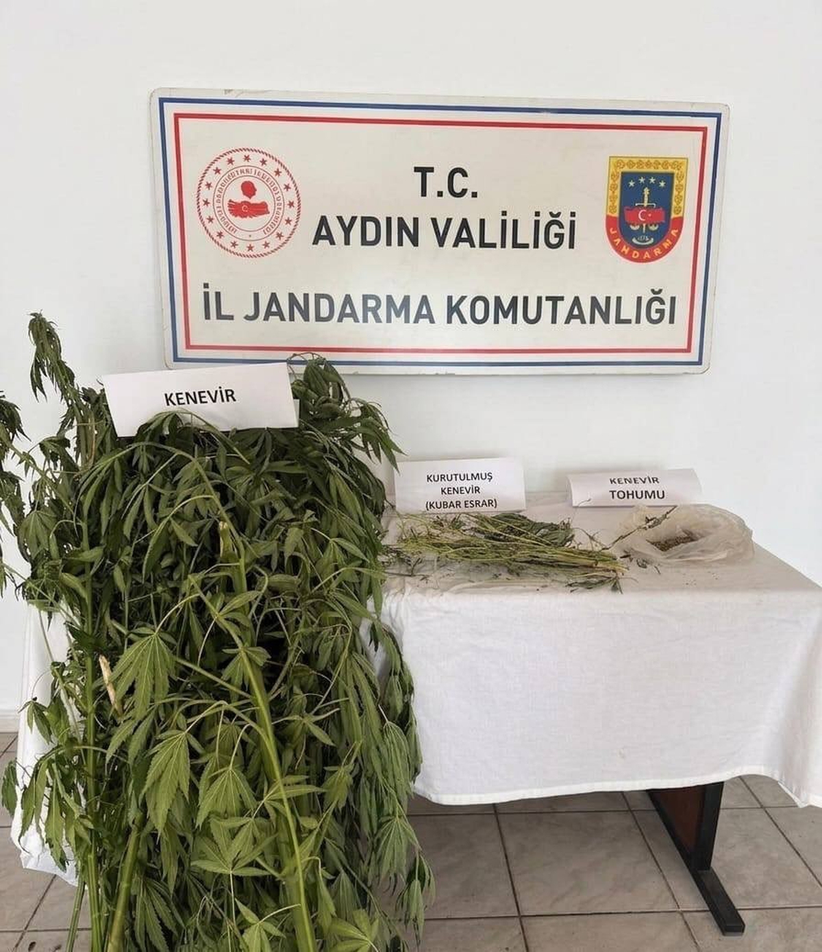 Yasa Dışı Kenevir Ekimi: İki Şüpheli Yakalandı