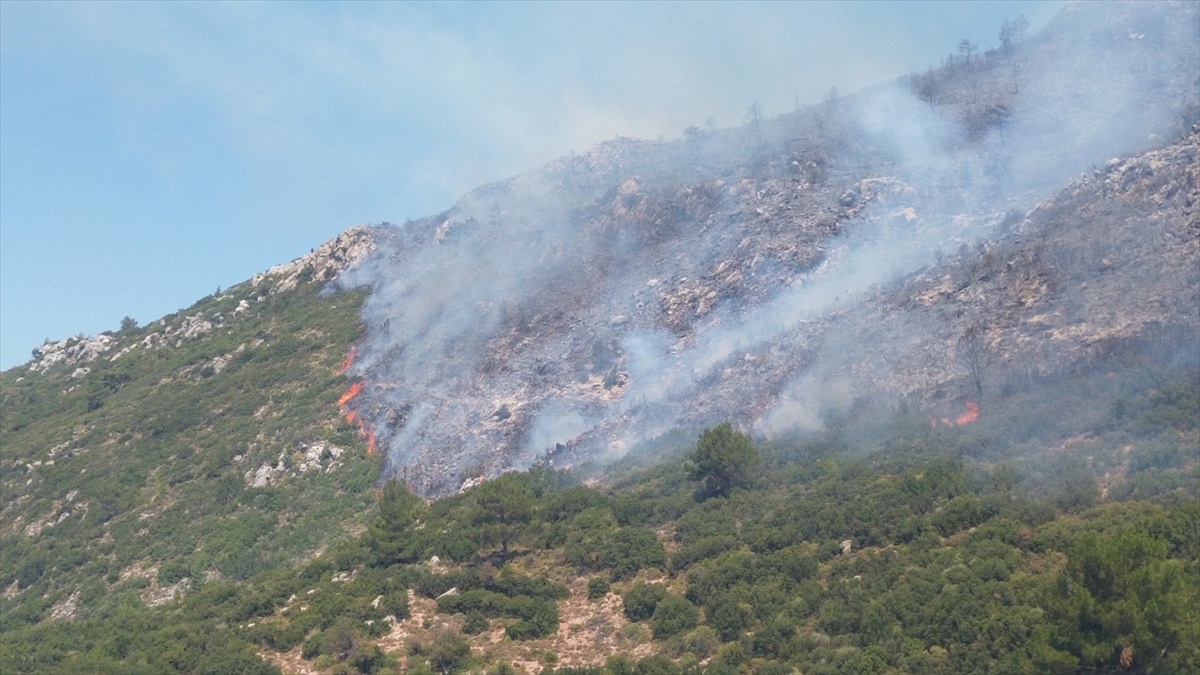 Kaş\'ta Orman Yangınına Karada Mücadele Devam Ediyor