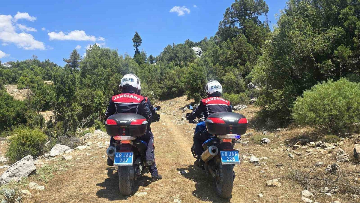 Muğla\'da Orman Yangınlarına Karşı Önlemler Artıyor