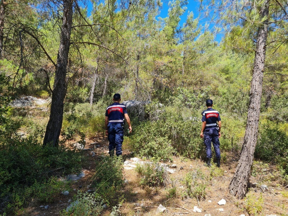 Muğla\'da Orman Yangınına Karşı Denetimler Artırıldı