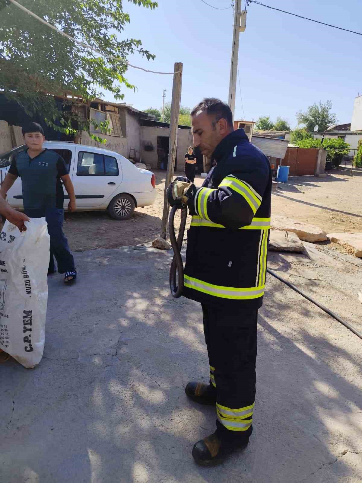 Bismil\'de Yatak Odasında Yılan Panik Yaratıldı